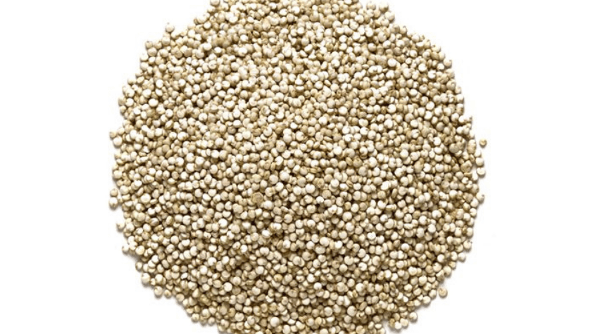 Quinoa Image