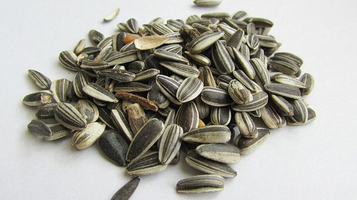 Sunflower Seeds Image