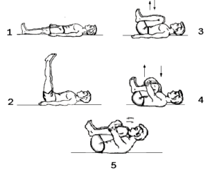 Pawanmuktasana Steps